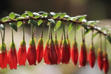东莞大朗私人快速借钱网，轻松解决资金难题