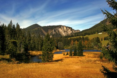 东莞大朗民间私贷攻略：揭秘低成本借贷的秘密